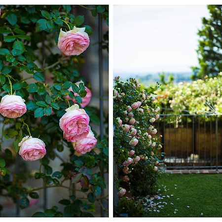 The Tower'S Garden Apartment ซานจีมิญญาโน ภายนอก รูปภาพ